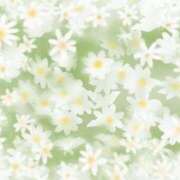 ヒメ日記 2025/06/04 11:29 投稿 萌奈(モナ) グランドオペラ名古屋