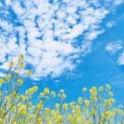 ヒメ日記 2025/06/12 23:51 投稿 萌奈(モナ) グランドオペラ名古屋