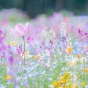 ヒメ日記 2025/06/20 21:27 投稿 萌奈(モナ) グランドオペラ名古屋