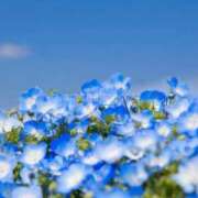 ヒメ日記 2025/06/23 11:49 投稿 萌奈(モナ) グランドオペラ名古屋