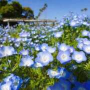 ヒメ日記 2025/07/28 14:39 投稿 萌奈(モナ) グランドオペラ名古屋