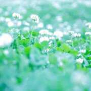 ヒメ日記 2025/07/30 23:26 投稿 萌奈(モナ) グランドオペラ名古屋