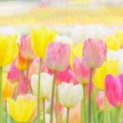 ヒメ日記 2025/08/15 12:31 投稿 萌奈(モナ) グランドオペラ名古屋