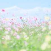 ヒメ日記 2025/08/19 17:09 投稿 萌奈(モナ) グランドオペラ名古屋