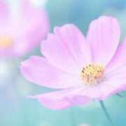 ヒメ日記 2025/08/21 13:42 投稿 萌奈(モナ) グランドオペラ名古屋