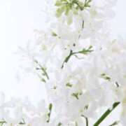 ヒメ日記 2025/08/21 16:53 投稿 萌奈(モナ) グランドオペラ名古屋