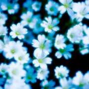 ヒメ日記 2025/09/16 09:49 投稿 萌奈(モナ) グランドオペラ名古屋