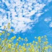 ヒメ日記 2025/09/23 01:09 投稿 萌奈(モナ) グランドオペラ名古屋