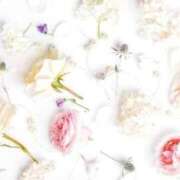 ヒメ日記 2025/09/24 20:19 投稿 萌奈(モナ) グランドオペラ名古屋