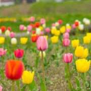 ヒメ日記 2025/10/07 14:49 投稿 萌奈(モナ) グランドオペラ名古屋