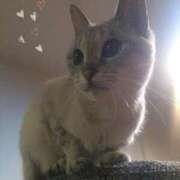 じゅんな おはようございます☆ミ 全裸SUPERプレミアム