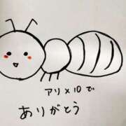 藤原 すず 2/28 ありがとうございました✨ 神戸RED DRAGON