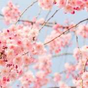 ヒメ日記 2025/03/30 19:45 投稿 なつ 甘い恋人　所沢店