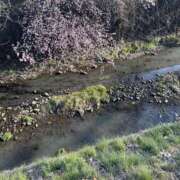 ヒメ日記 2026/03/13 11:57 投稿 なつ 甘い恋人　所沢店