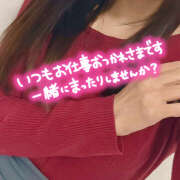 ヒメ日記 2026/01/17 10:25 投稿 志乃 美人百華（びじんひゃっか）