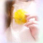 ヒメ日記 2025/11/23 19:30 投稿 みき 川崎・東横人妻城