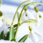 ヒメ日記 2025/12/29 19:38 投稿 みき 川崎・東横人妻城