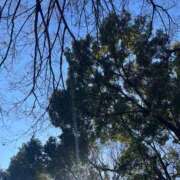 みき 大吉 川崎・東横人妻城