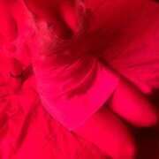 ヒメ日記 2026/04/23 10:38 投稿 みき 川崎・東横人妻城