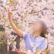 ヒメ日記 2025/05/13 17:31 投稿 ノエル アラビアンナイト