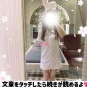 ヒメ日記 2026/03/17 12:01 投稿 ノエル アラビアンナイト