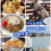 ヒメ日記 2025/01/27 15:12 投稿 よしえ 仙台人妻セレブリティー