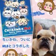 ヒメ日記 2025/02/15 15:54 投稿 よしえ 仙台人妻セレブリティー