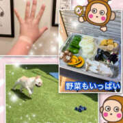 ヒメ日記 2025/05/02 16:13 投稿 よしえ 仙台人妻セレブリティー