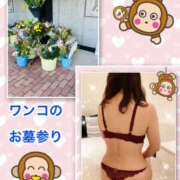 ヒメ日記 2025/08/15 12:30 投稿 よしえ 仙台人妻セレブリティー