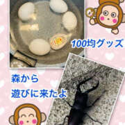 ヒメ日記 2025/08/19 15:09 投稿 よしえ 仙台人妻セレブリティー