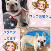 ヒメ日記 2025/08/28 16:40 投稿 よしえ 仙台人妻セレブリティー