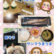 ヒメ日記 2025/09/16 11:03 投稿 よしえ 仙台人妻セレブリティー