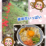 ヒメ日記 2025/09/26 15:53 投稿 よしえ 仙台人妻セレブリティー