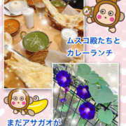 ヒメ日記 2025/10/17 12:47 投稿 よしえ 仙台人妻セレブリティー