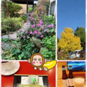 ヒメ日記 2025/10/31 12:10 投稿 よしえ 仙台人妻セレブリティー