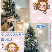 ヒメ日記 2025/11/06 14:36 投稿 よしえ 仙台人妻セレブリティー