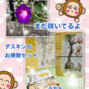 ヒメ日記 2025/11/09 11:54 投稿 よしえ 仙台人妻セレブリティー