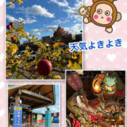 ヒメ日記 2025/11/23 14:15 投稿 よしえ 仙台人妻セレブリティー