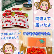 ヒメ日記 2026/03/12 15:48 投稿 よしえ 仙台人妻セレブリティー