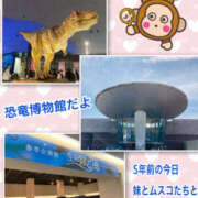 ヒメ日記 2026/03/31 12:09 投稿 よしえ 仙台人妻セレブリティー