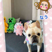 ヒメ日記 2026/04/08 12:18 投稿 よしえ 仙台人妻セレブリティー