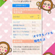 ヒメ日記 2026/10/01 14:43 投稿 よしえ 仙台人妻セレブリティー