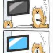 ヒメ日記 2024/12/20 23:46 投稿 寧々 Picasso(ピカソ)