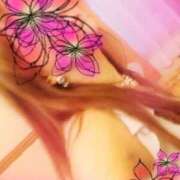 ヒメ日記 2024/12/22 16:00 投稿 寧々 Picasso(ピカソ)