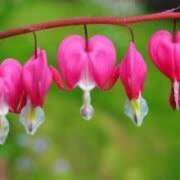 ヒメ日記 2024/12/24 12:26 投稿 寧々 Picasso(ピカソ)