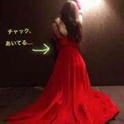 ヒメ日記 2024/12/24 19:00 投稿 寧々 Picasso(ピカソ)