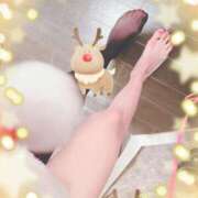 ヒメ日記 2024/12/28 17:00 投稿 寧々 Picasso(ピカソ)