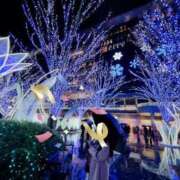 ヒメ日記 2024/12/29 17:00 投稿 寧々 Picasso(ピカソ)