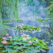 ヒメ日記 2025/01/06 16:00 投稿 寧々 Picasso(ピカソ)