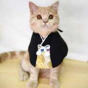 ヒメ日記 2025/01/16 12:15 投稿 寧々 Picasso(ピカソ)